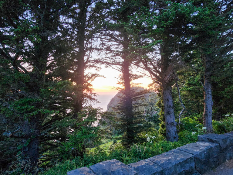 sunset from Neahkahnie Viewpoint, near Manzanita, Oregon, with conifers in the foreground