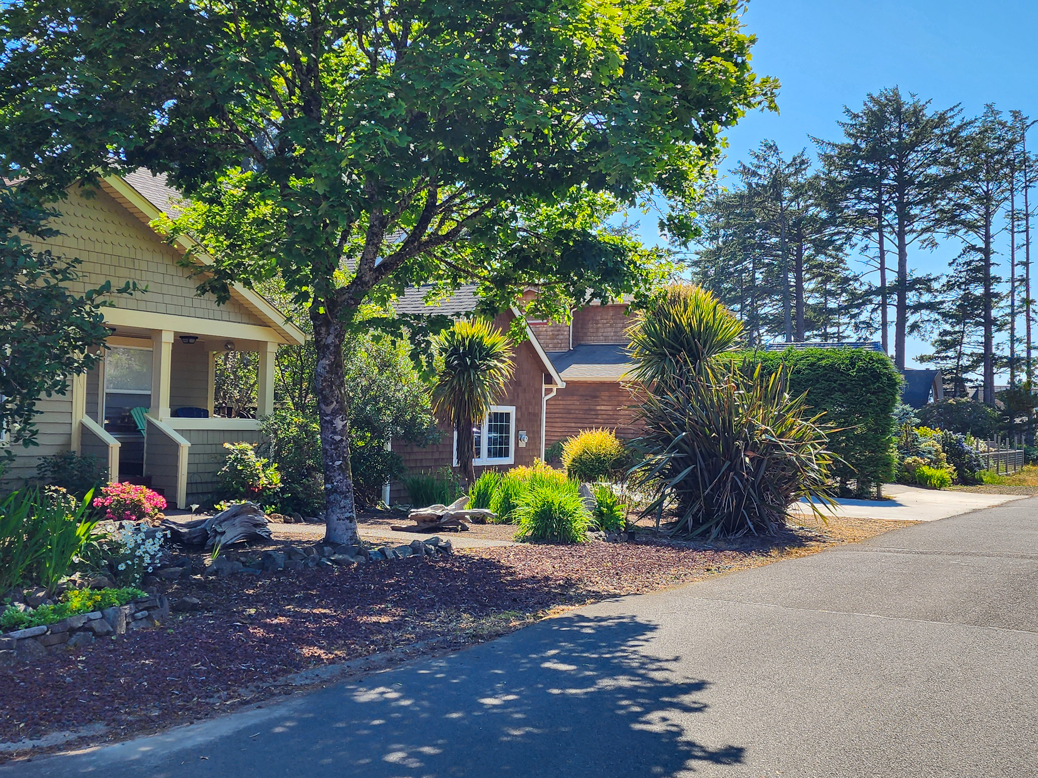 view of houses and landscaped yards from a neighborhood street in Manzanita, Oregon