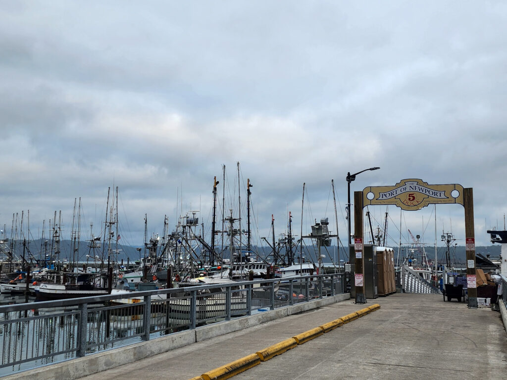 image of commercial fishing vessels at port in Newport, Oregon
